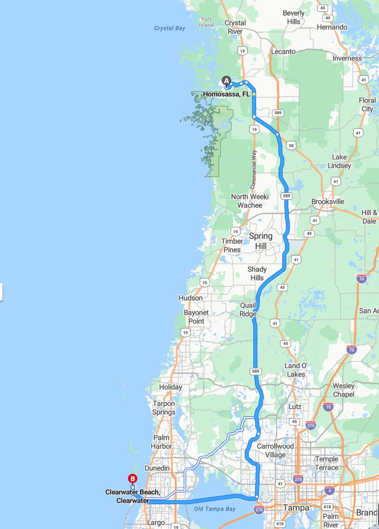 driving from Homosassa, Florida to Clearwater BeachFlorida - map and route